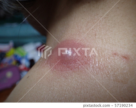 Funryu (powder) Funryu (powder) 57190234