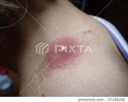 Funryu(粉末) Funryu(粉末) 57190266