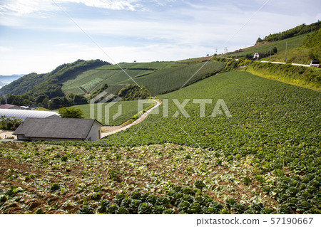 Korean landscape Korean landscape 57190667