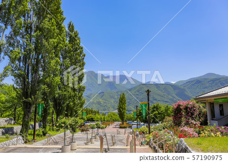 [Yamanashi] Spring Fujikawa Craft Park 57190975