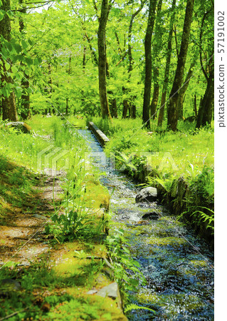 [Hokuto City, Yamanashi Prefecture] Fresh green three-minute spring park 57191002