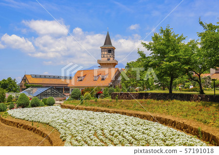 [Yamanashi] Heidi village in early summer 57191018