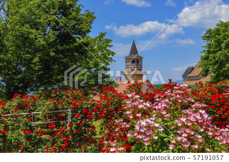 [Yamanashi Prefecture] Heidi village in the early summer when roses are in full bloom 57191057