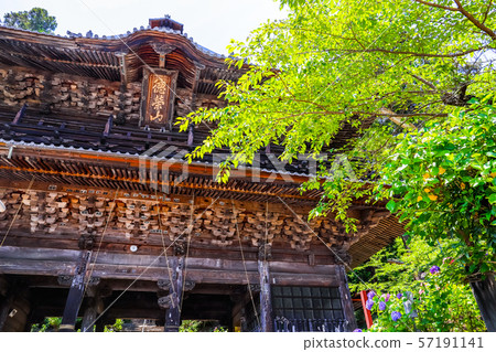 [Yamanashi Prefecture] Komuroyama Myoho-ji Temple Gate and Hydrangea Flowers 57191141