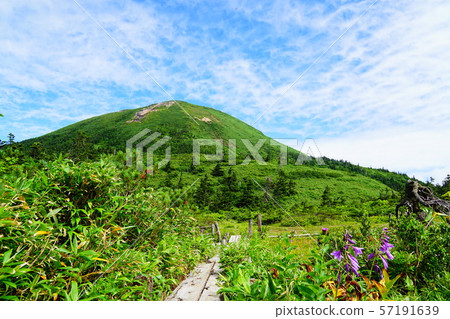 八甲田山 八甲田山 57191639