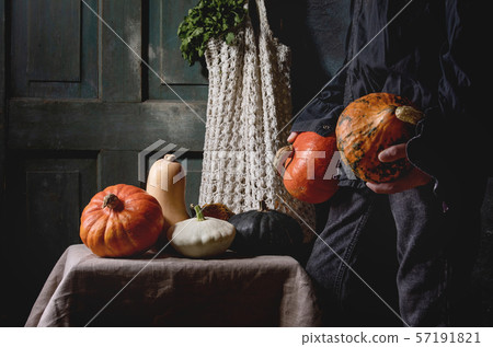 Variety of colorful pumpkins 57191821
