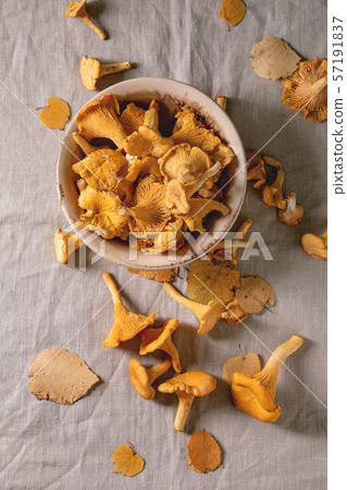 Forest chanterelle mushrooms Forest chanterelle mushrooms 57191837