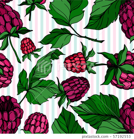 Vector Raspberry healthy food isolated. Black and white engraved ink art. Seamless background Vector Raspberry healthy food isolated. Black and white engraved ink art. Seamless background 57192553
