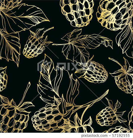 Vector Raspberry healthy food isolated. Black and white engraved ink art. Seamless background Vector Raspberry healthy food isolated. Black and white engraved ink art. Seamless background 57192555