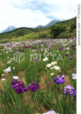 別府神樂湖 57192621