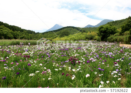 別府神樂湖 別府神樂湖 57192622