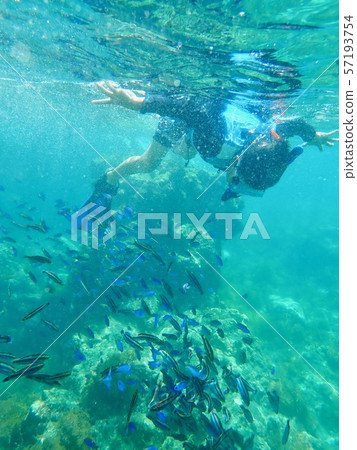 在Minamiizu的Hirizo海灘浮潛 57193754