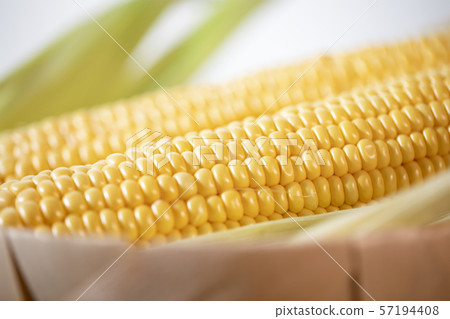 The cob of ripe cut corn sugar lies in a wicker 57194408