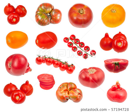 many various fresh tomatoes isolated on white 57194728