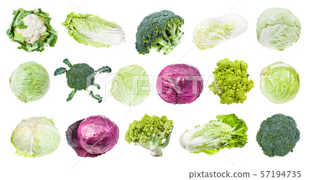 many various headed cabbages isolated on white 57194735