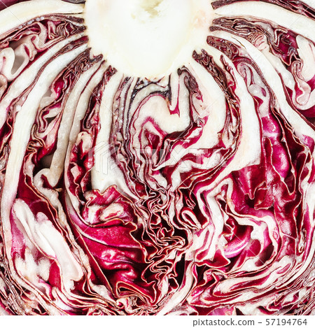 texture of sliced red radicchio cabbagehead 57194764
