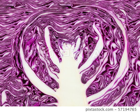 ornament from texture of sliced red cabbage ornament from texture of sliced red cabbage 57194765