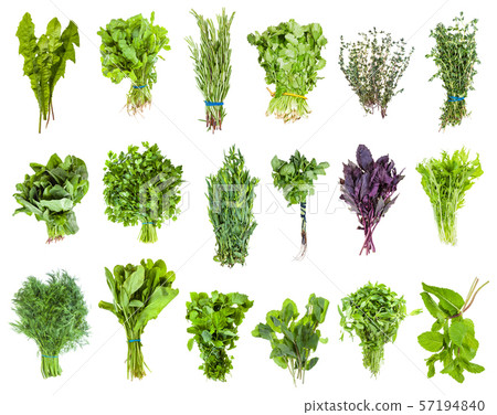 various bunches of fresh edible greens isolated 57194840