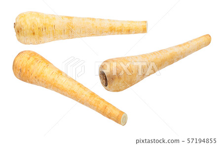 three ripe roots of Parsnip (pastinaca sativa) 57194855