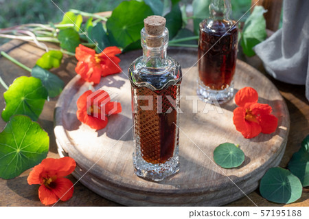Nasturtium tincture with fresh Tropaeolum majus 57195188