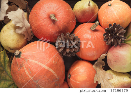 Autumn still life with leaves, pumpkins, apples. Autumn still life with leaves, pumpkins, apples. 57196579