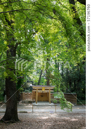 Shimogamo神社,森林和Kamosai-in森林的新鮮綠葉 Shimogamo神社,森林和Kamosai-in森林的新鮮綠葉 57196760