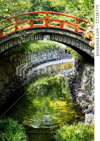 Shimogamo Shrine, Mitarai River and Wanbashi 57196775