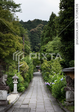 Otoyo神社，接近與繡球花的道路 57196836