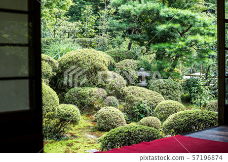 Anrakuji, early summer garden Anrakuji, early summer garden 57196874