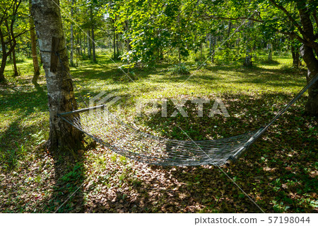 Hammock 57198044