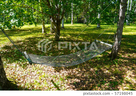 Hammock 57198045