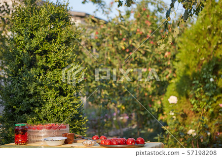 Tomatoes on the table in summer garden 57198208