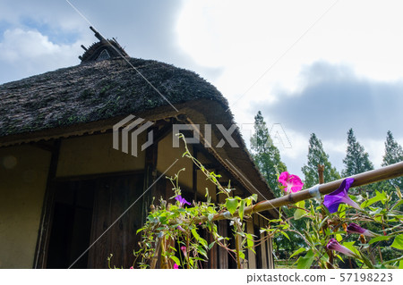 Old houses and morning glory 57198223