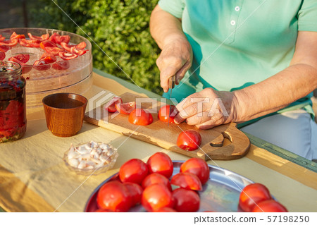 Female hands in the garden cutting tomatoes Female hands in the garden cutting tomatoes 57198250