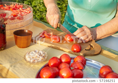 Female hands in the garden cutting tomatoes Female hands in the garden cutting tomatoes 57198251