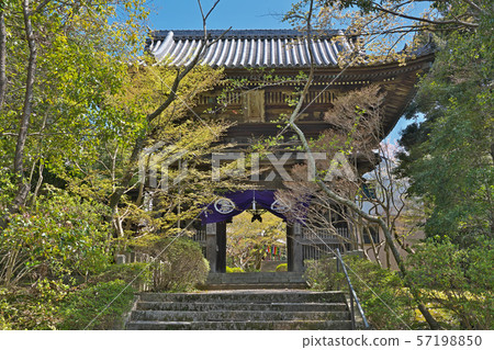 [Matsuo-ji] Matsuo-ji, Izumi, Osaka 57198850