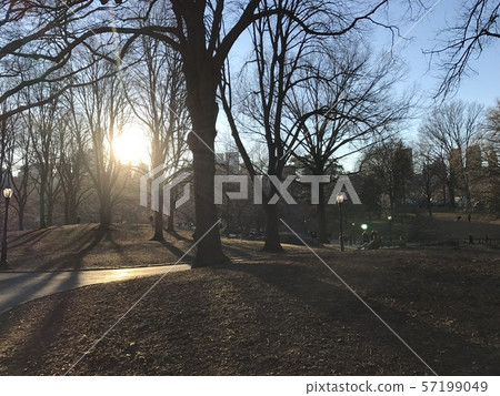 park park 57199049
