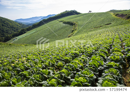 Korean landscape Korean landscape 57199474