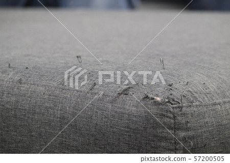 A sofa that was damaged by a cat scratch 57200505