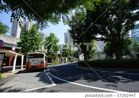 Kashiwanoha校園站前視圖<千葉柏市> 57202447