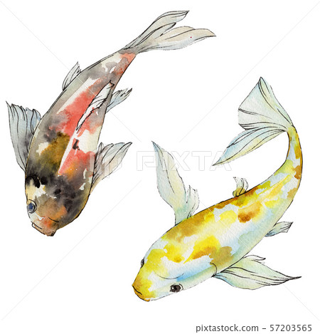 Aquatic underwater colorful tropical fish set. Watercolor background set. Isolated goldfish 57203565