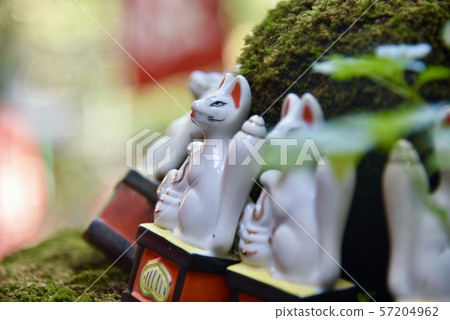 Kamakura / Sasuke Inari shrine Kamakura / Sasuke Inari shrine 57204962