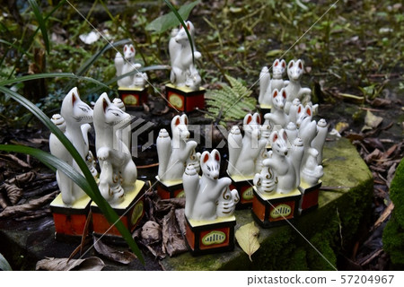 Kamakura / Sasuke Inari shrine 57204967