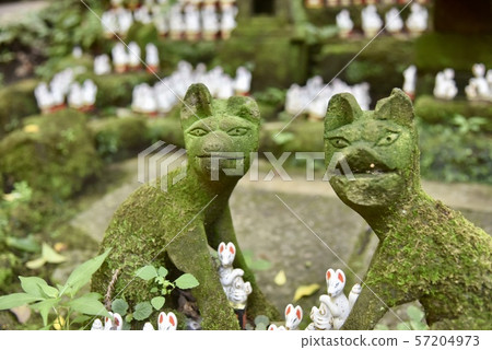 Kamakura / Sasuke Inari shrine 57204973