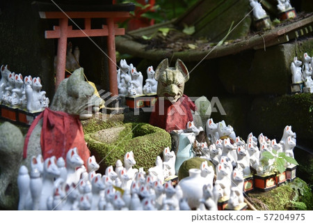 Kamakura / Sasuke Inari shrine Kamakura / Sasuke Inari shrine 57204975