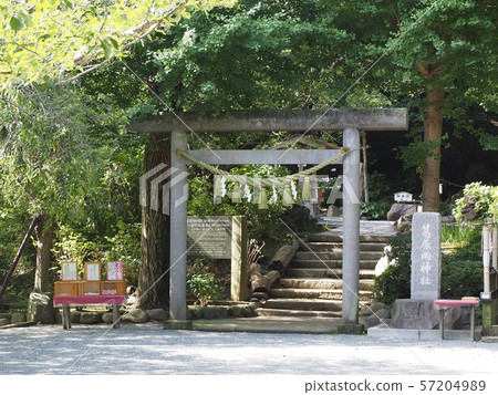 鎌倉/ Kuzuharaoka神社 57204989