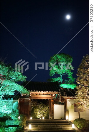 點亮寺廟和神社 點亮寺廟和神社 57205250
