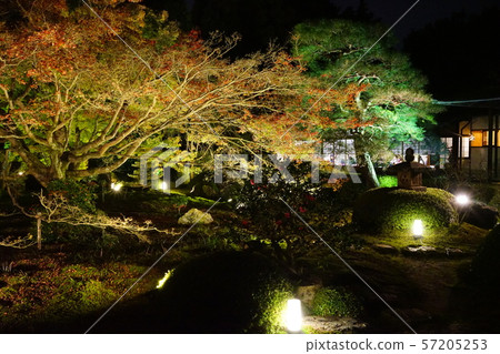 照明的花園 照明的花園 57205253
