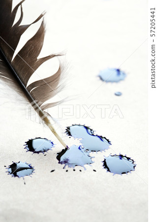 Inkblot On Paper 57205441