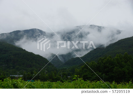 Misty Misty 57205519